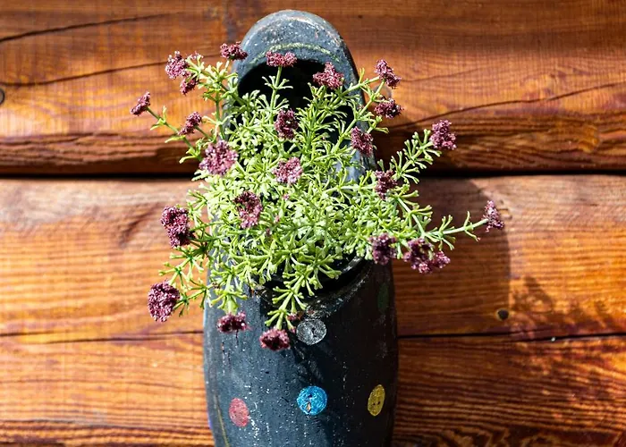 Gasthof Le Parfum Du Sel Jovencan